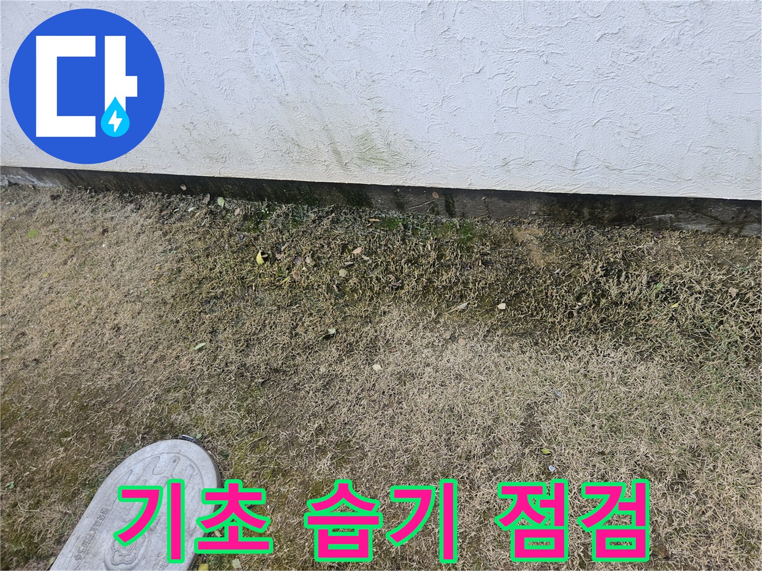 이천 증포동 누수 - 건물 기초 누수 및 주변 지반 습기 점검