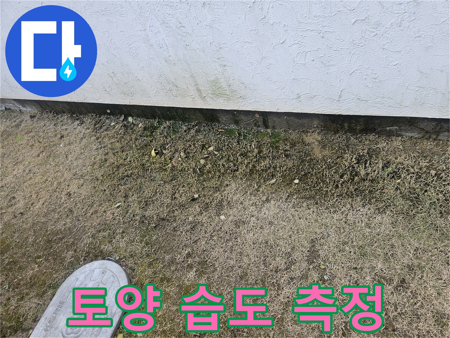 이천 창전동 누수 - 외벽 주변 토양 습도 측정 및 누수 진단