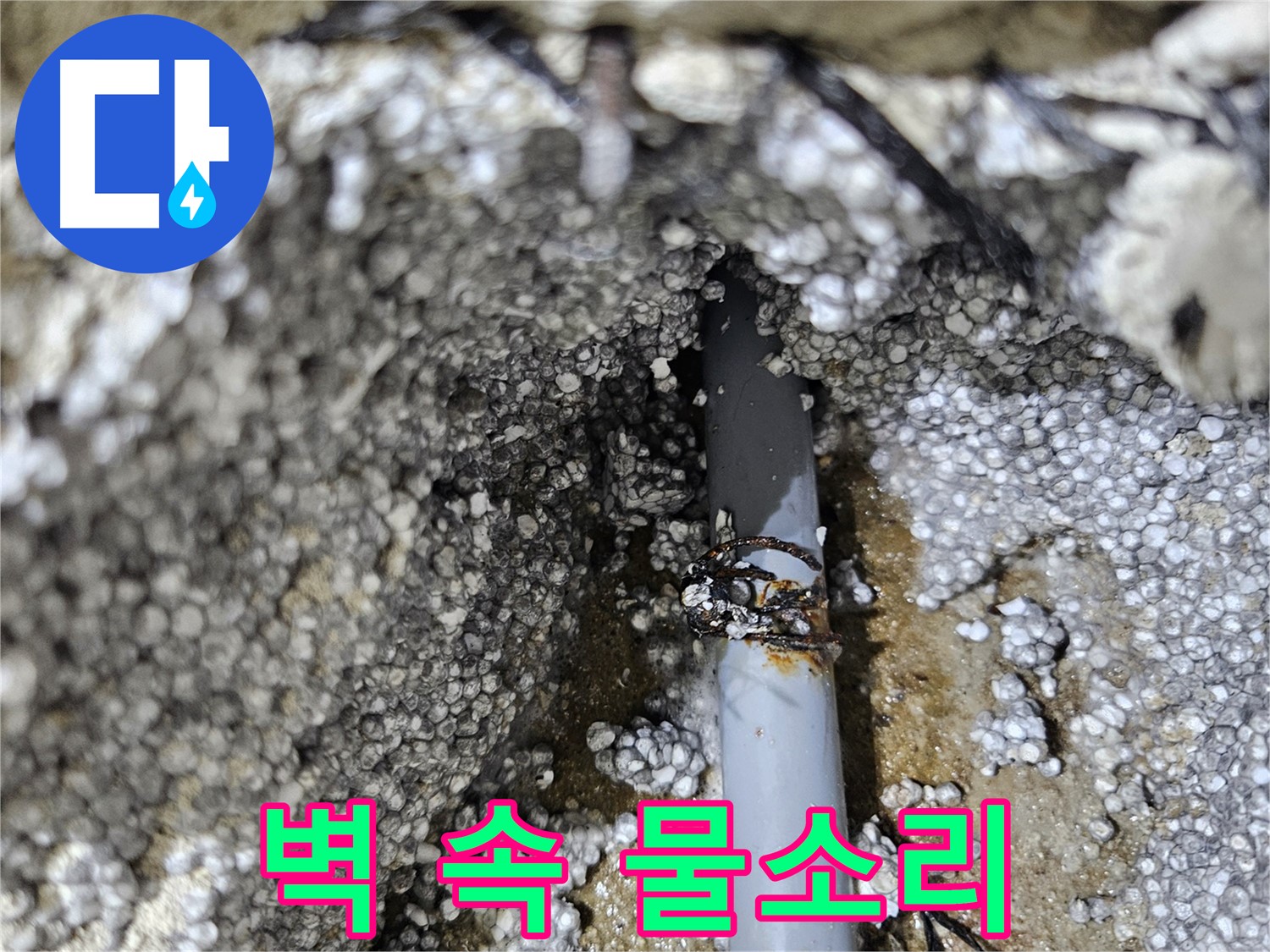이천시 아리역로 누수 - 벽 속에서 물 흐르는 소리 발생 - 누수 탐지 성공