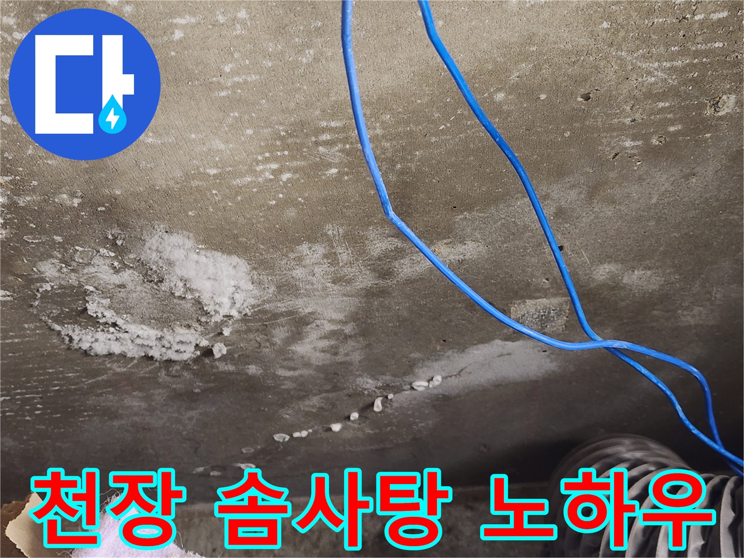 기흥구 - 콘크리트 천장 솜사탕 곰팡이 - 완벽 제거 노하우