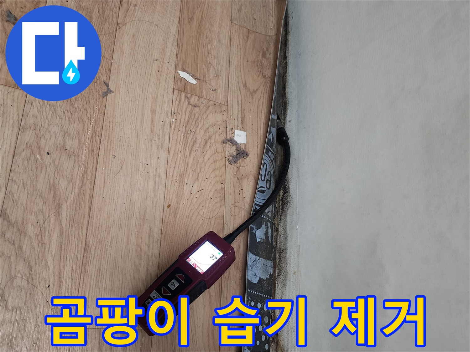 수원 장안구 누수 - 곰팡이 습기 제거, 쾌적한 환경 조성