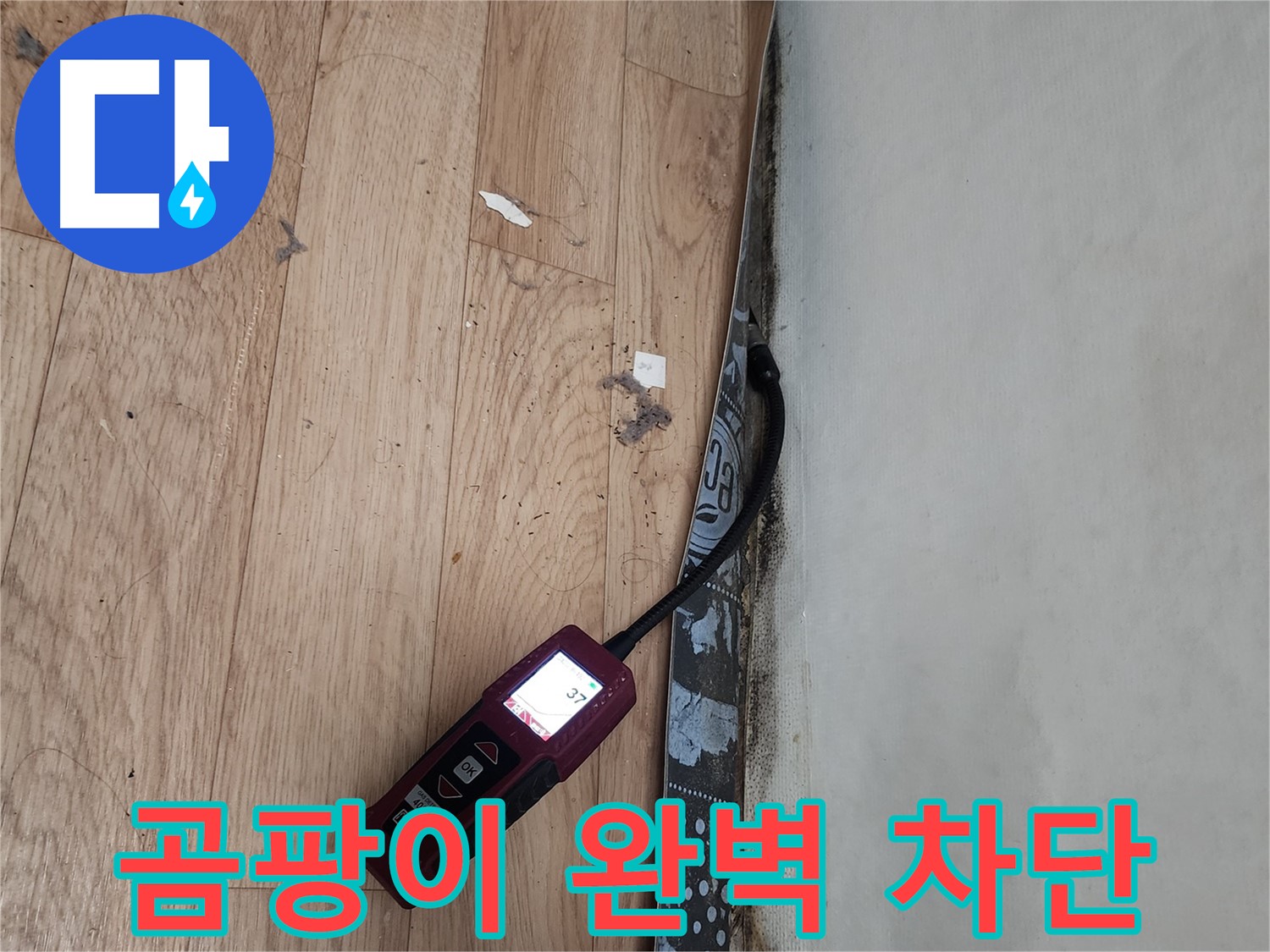 수원 장안구 누수탐지 - 곰팡이, 누수, 습도 정밀 측정 후 곰팡이 완벽 차단
