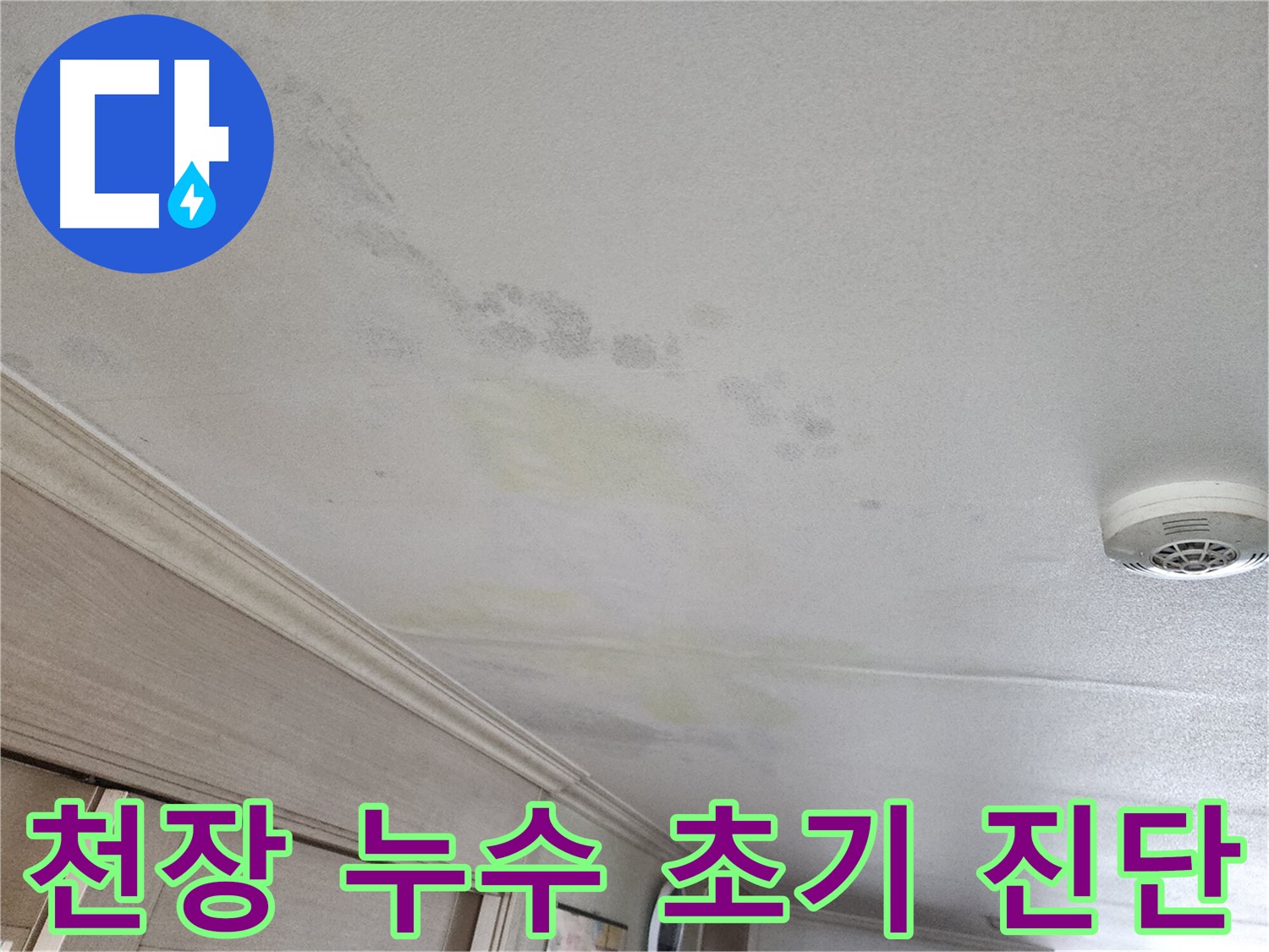 광명시 철산동 두산위브 103동 천장 누수 초기 진단 모습