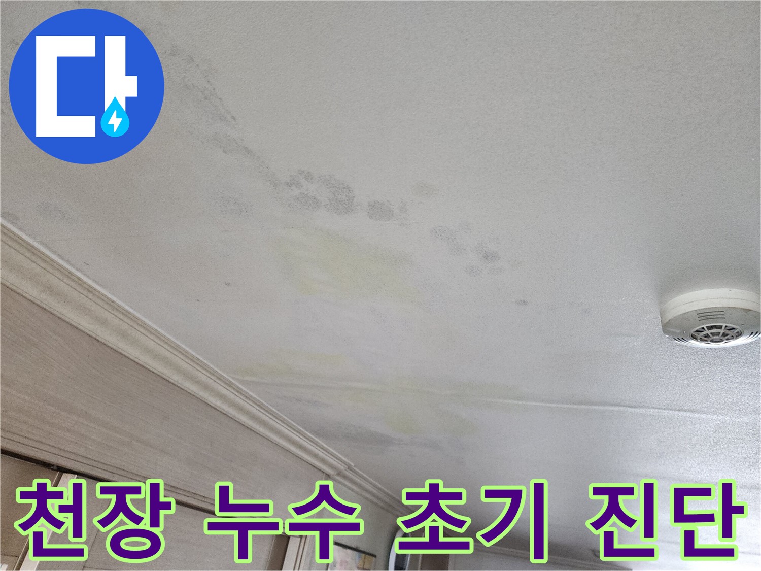 광명시 철산동 두산위브 103동 천장 누수 초기 진단 모습