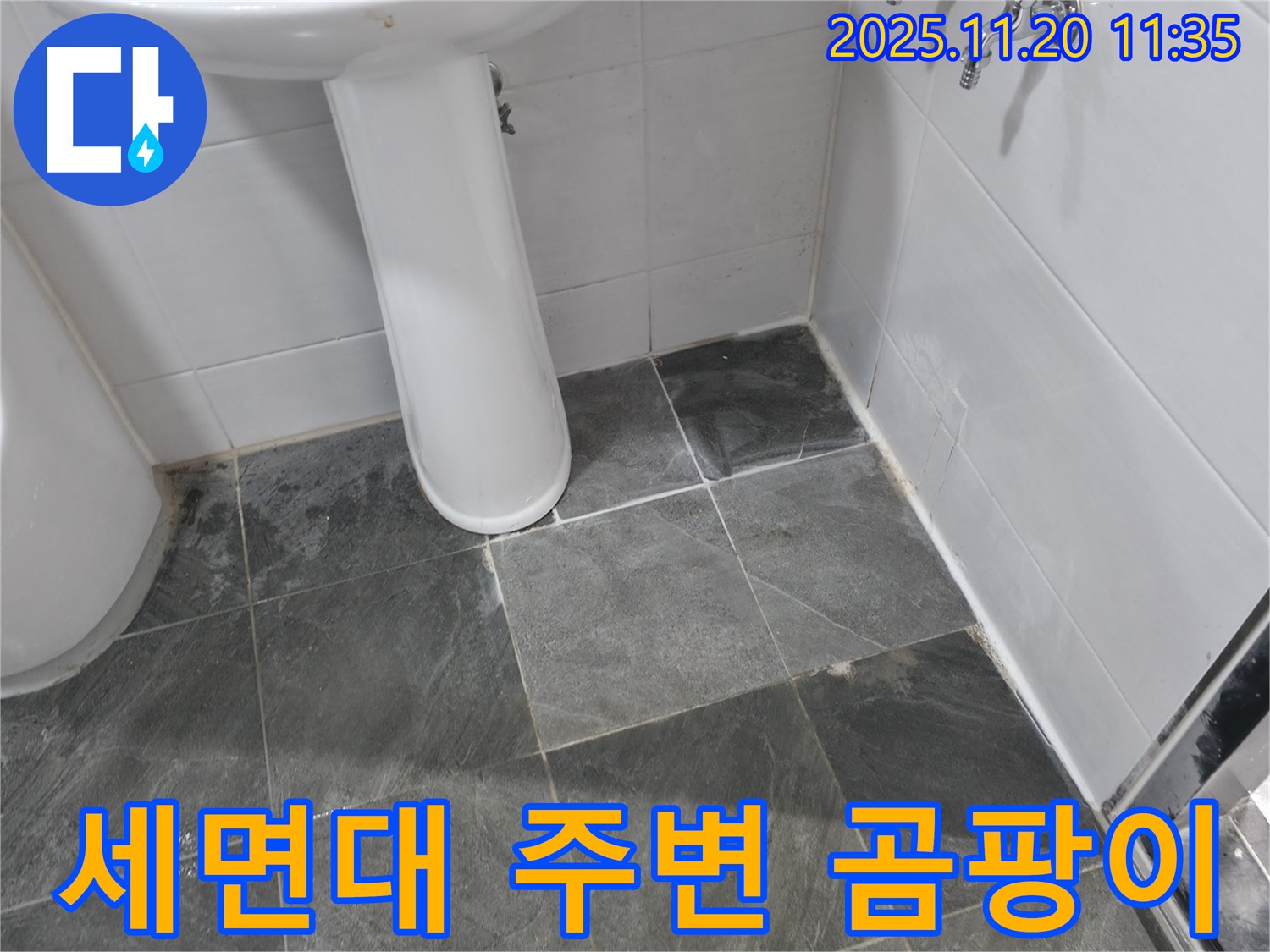 양주시 은현면 세면대 주변 곰팡이 - 숨겨진 누수 의심