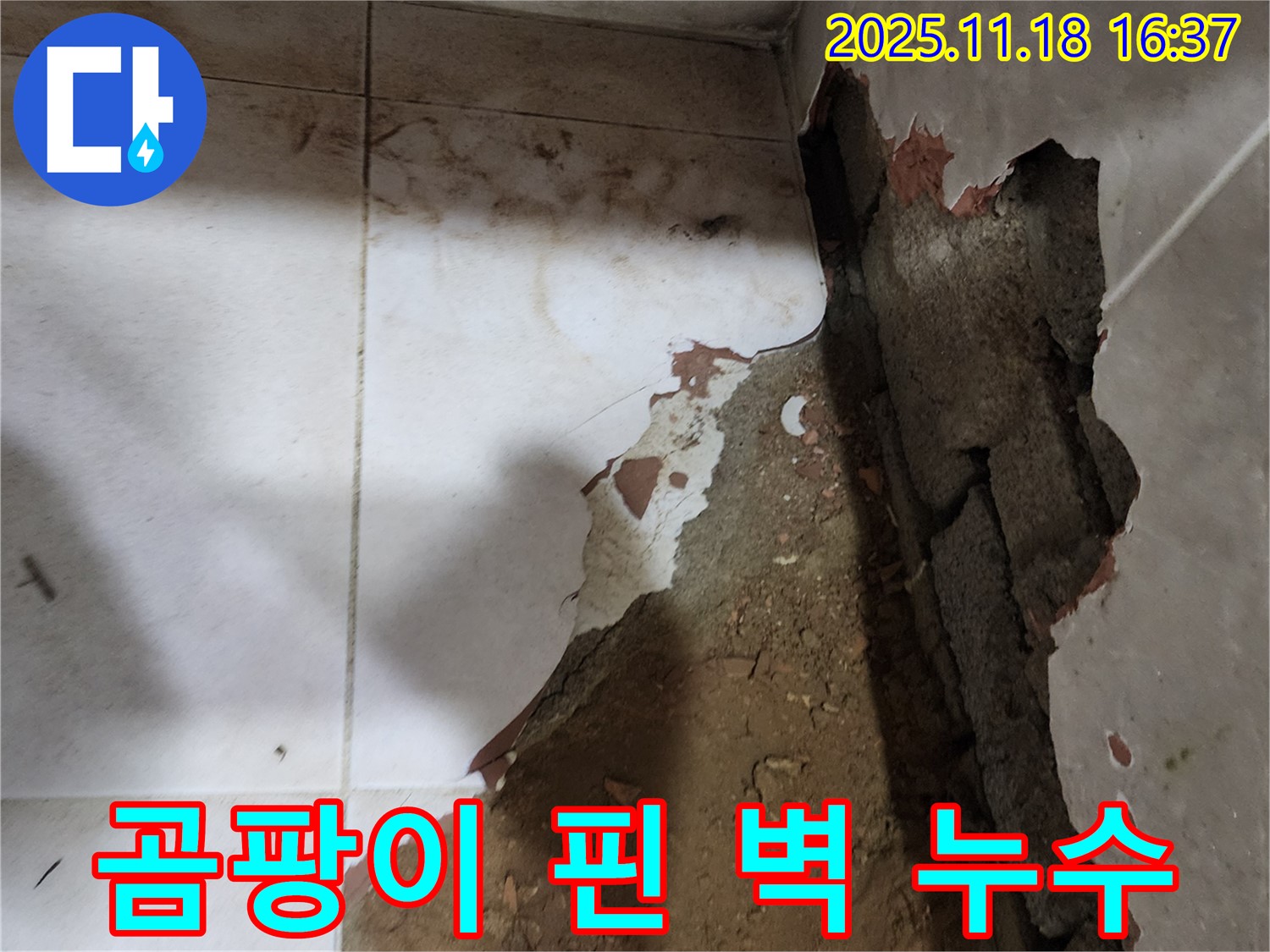 포천시 내촌면 소학리 - 곰팡이가 핀 벽의 누수 원인을 찾고 곰팡이까지 싹 제거했습니다.