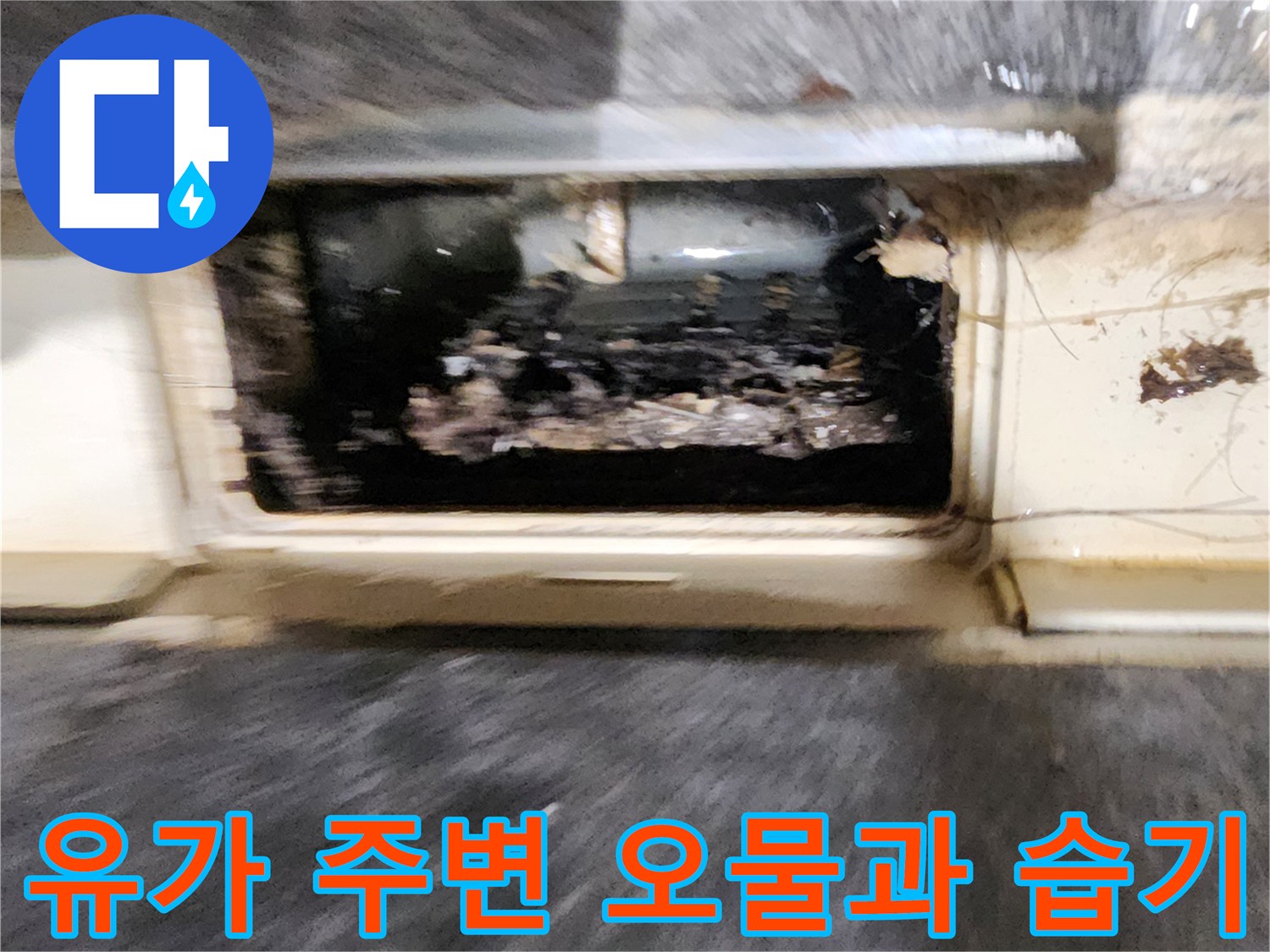 욕실-배수구-유가-주변의-오물과-습기-상태