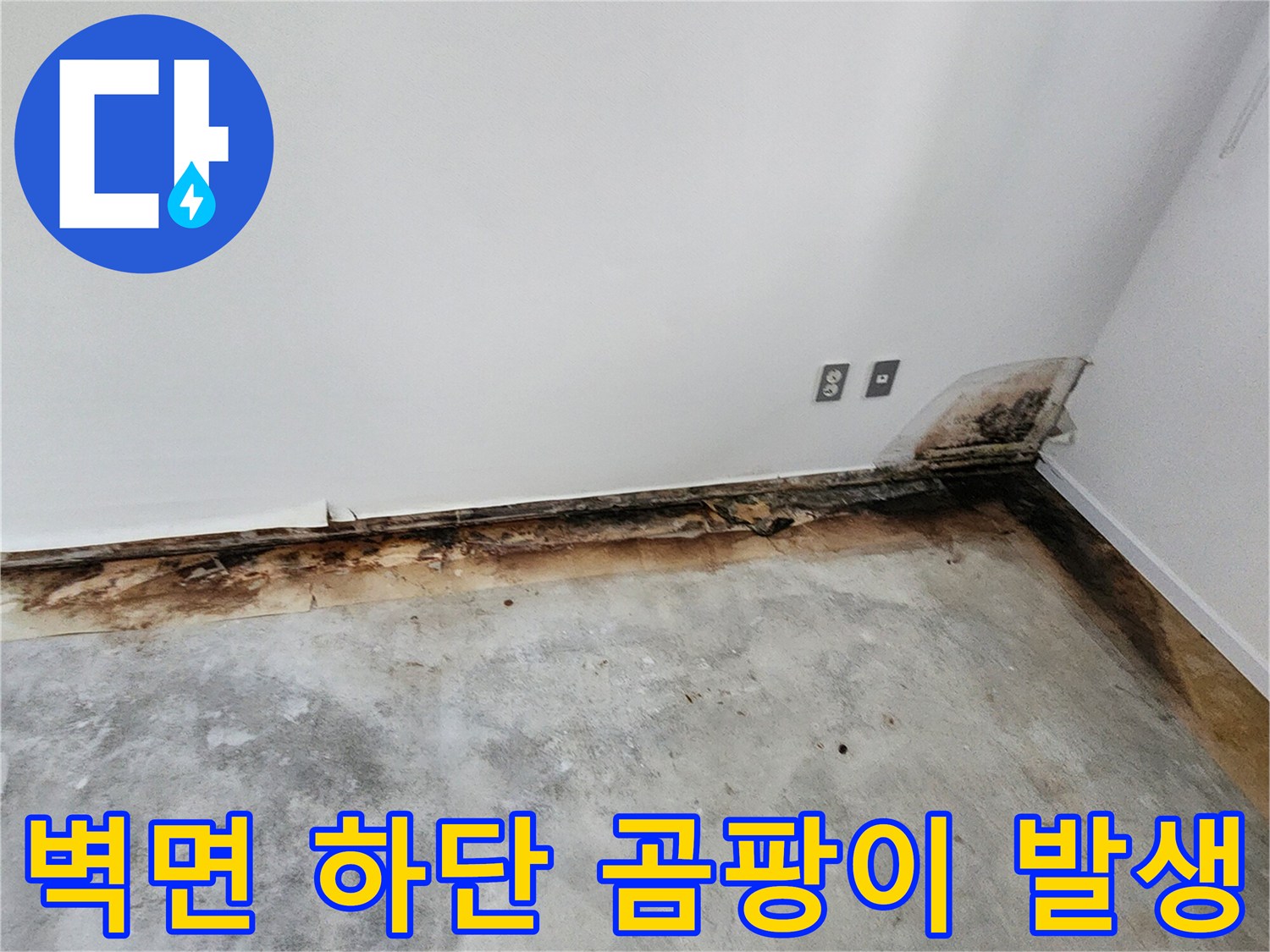 포천 내촌면 현장-벽지 변색 및 곰팡이 침투 부위