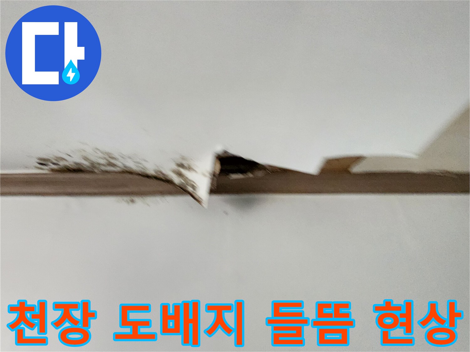 포천 내촌면 현장-천장 도배지가 물기에 젖어 들뜬 모습