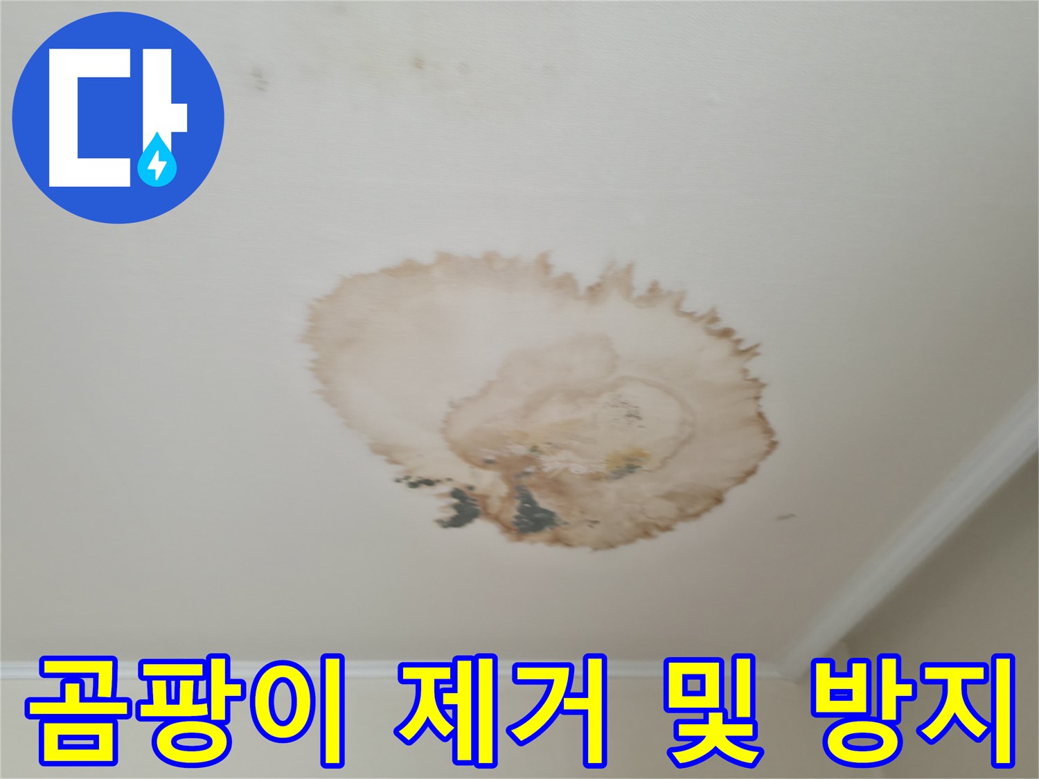 곰팡이 제거 - 곰팡이 방지 - 서대문구 북가좌동 천장 누수
