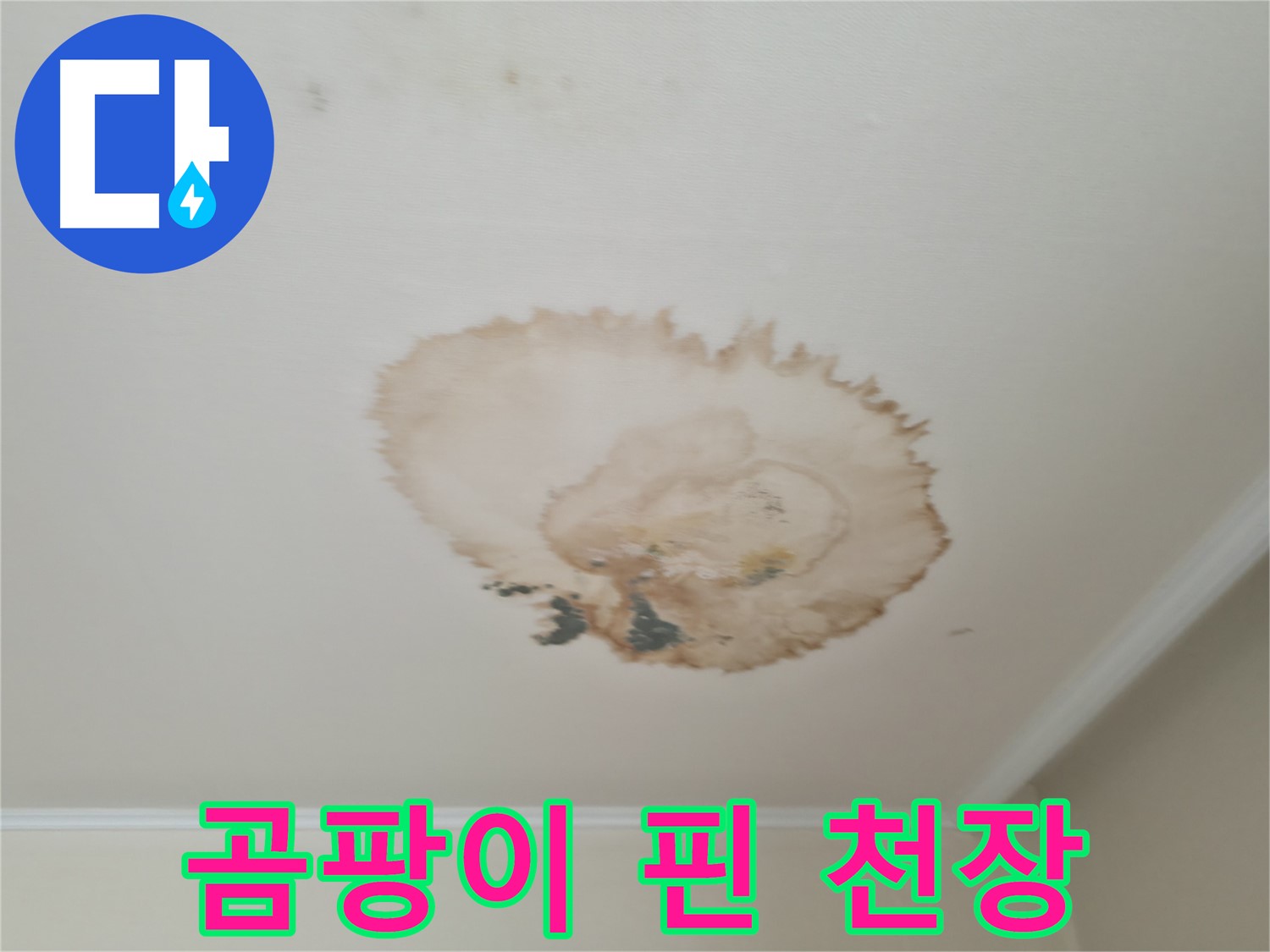 곰팡이 핀 천장 - 누수 흔적 - 서대문구 누수탐지 및 제거