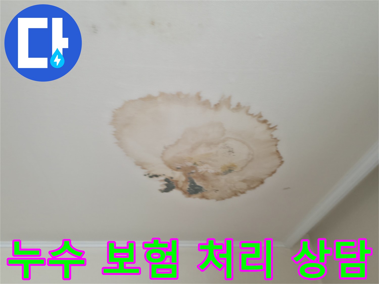 누수 보험 상담 - 천장 누수 - 서대문구 북가좌동