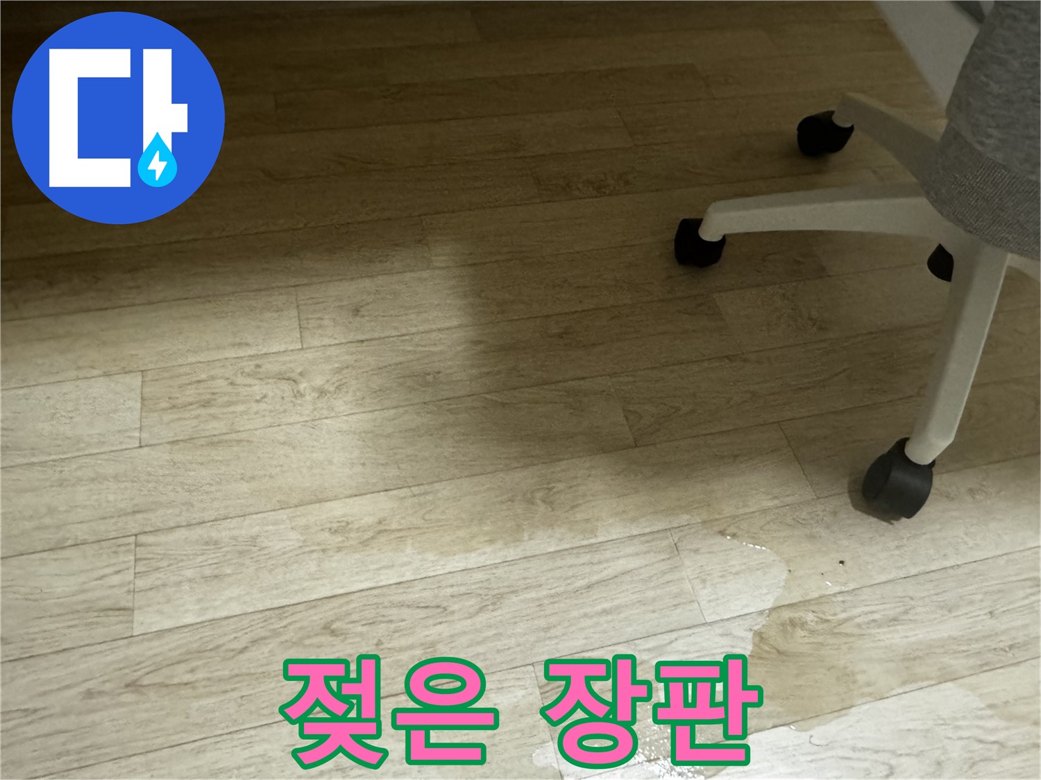물이 스며들어 젖어 있는 장판 - 곰팡이 냄새가 날 수 있습니다.