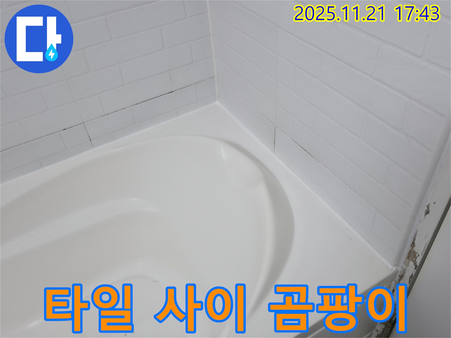 서대문구 세검정 욕조 - 곰팡이 핀 타일 사이 누수 위험