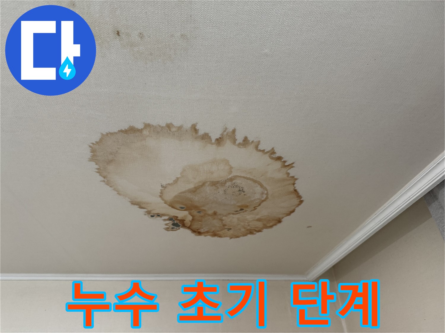 서대문구 세검정로 천장 누수 - 곰팡이 발생 전 누수 초기 단계