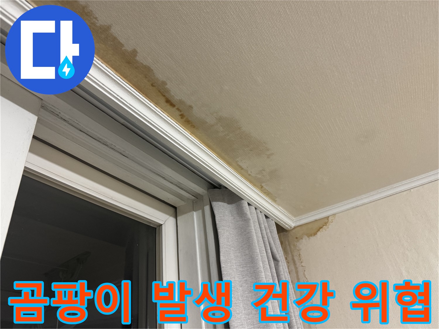 서대문구 창문 코너 천장 누수 - 곰팡이 발생, 건강 위협 이미지입니다.