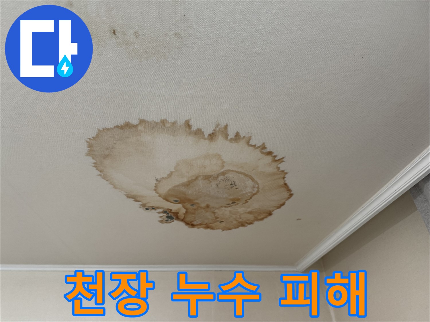 서대문구 홍제동 누수 - 천장 마감재 손상