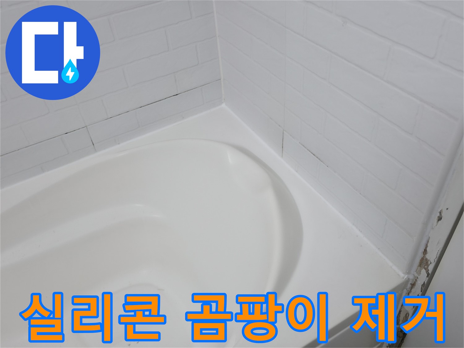 실리콘 - 곰팡이와의 전쟁