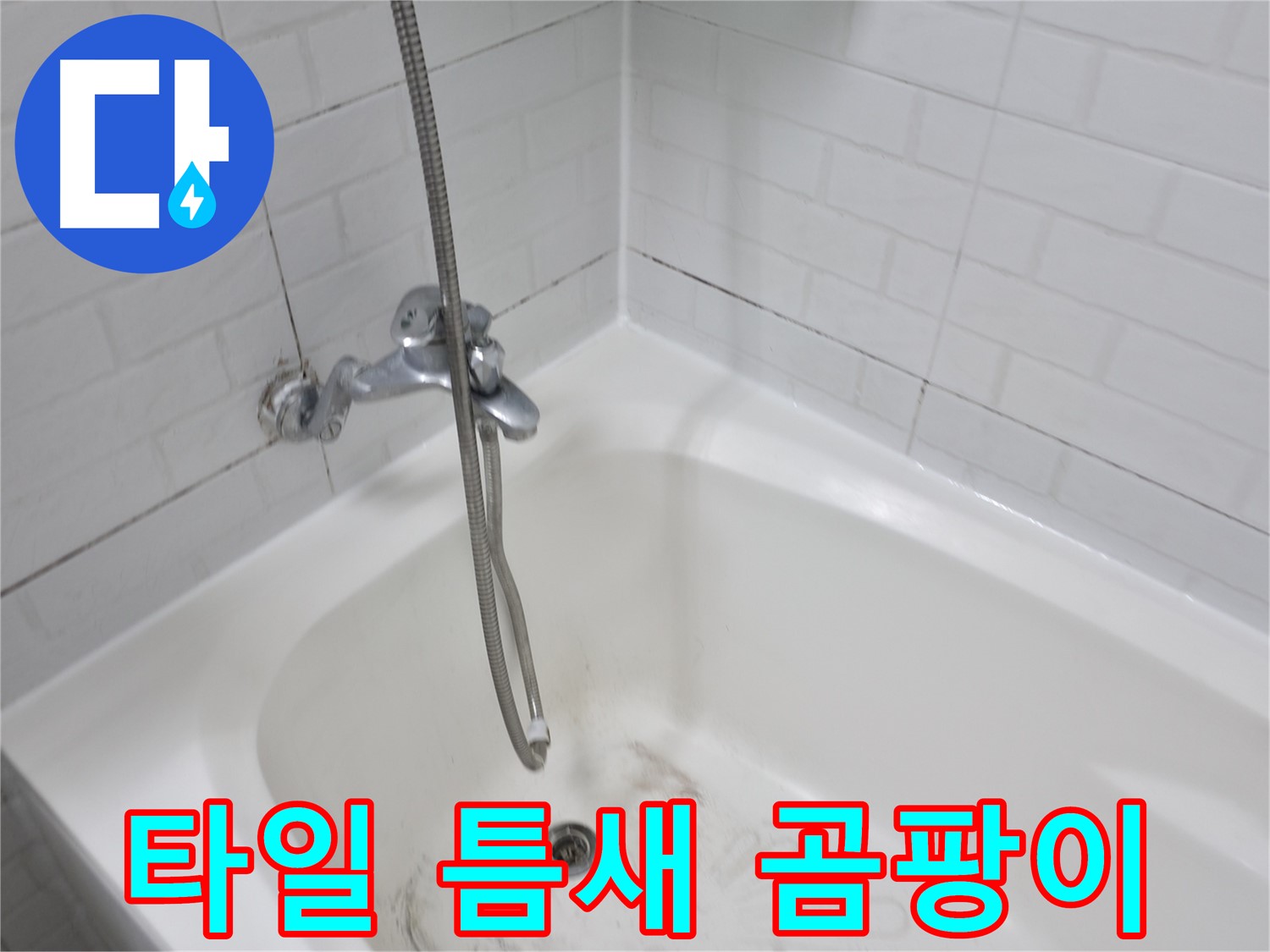 심각한 타일 틈새 곰팡이 - 곰팡이 제거가 시급한 상황