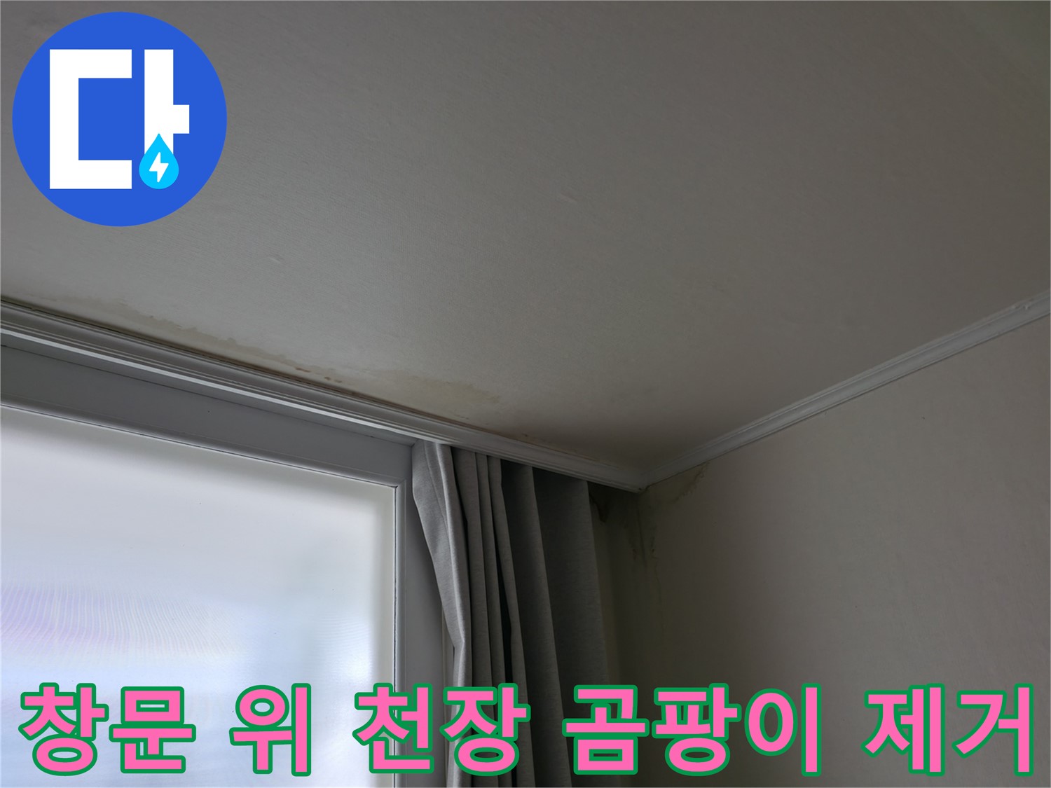 창문 위 천장 곰팡이 - 곰팡이 제거 및 방지 시공