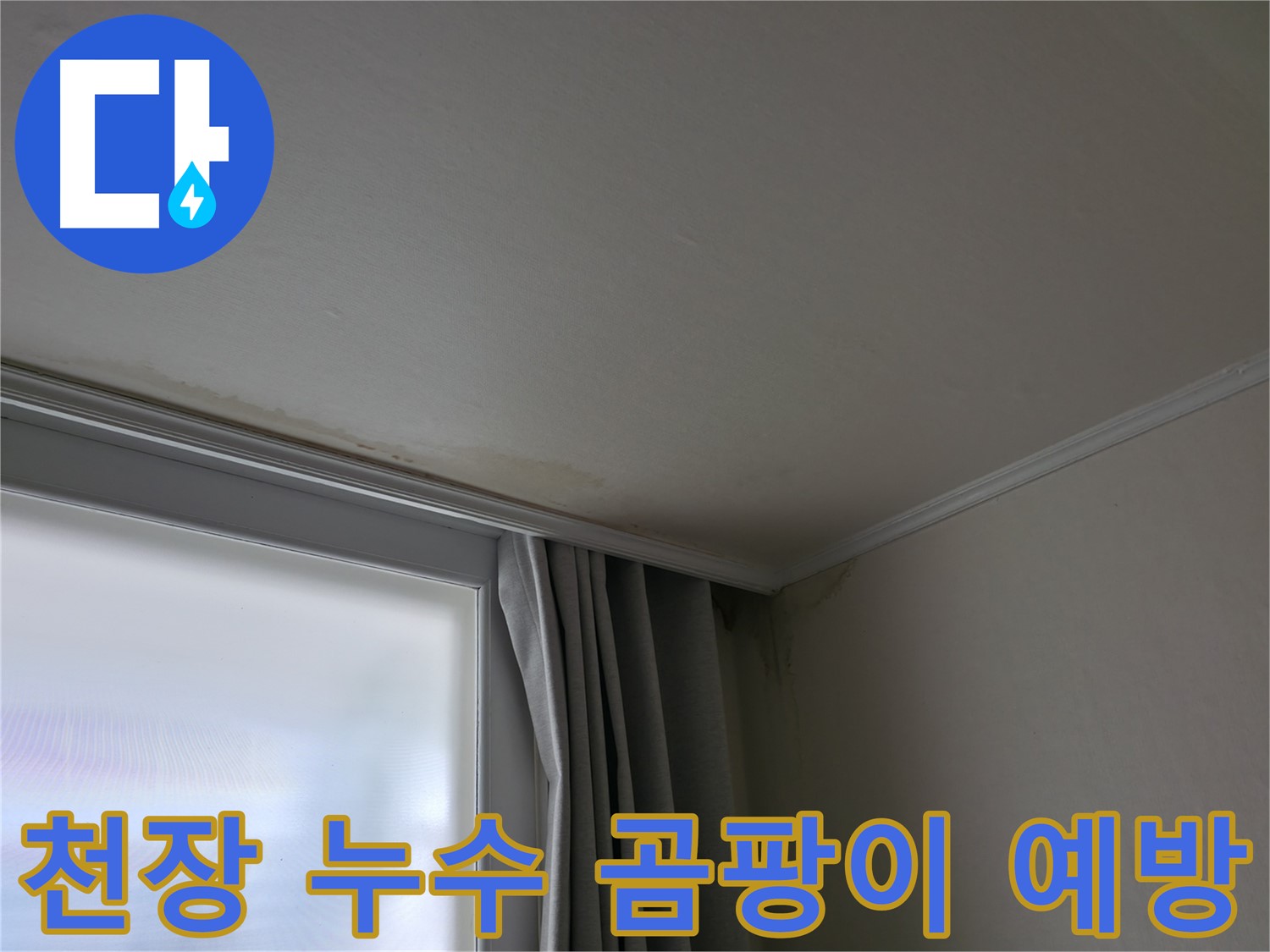 창문 위 천장 누수 - 곰팡이 발생 전 조치 중요