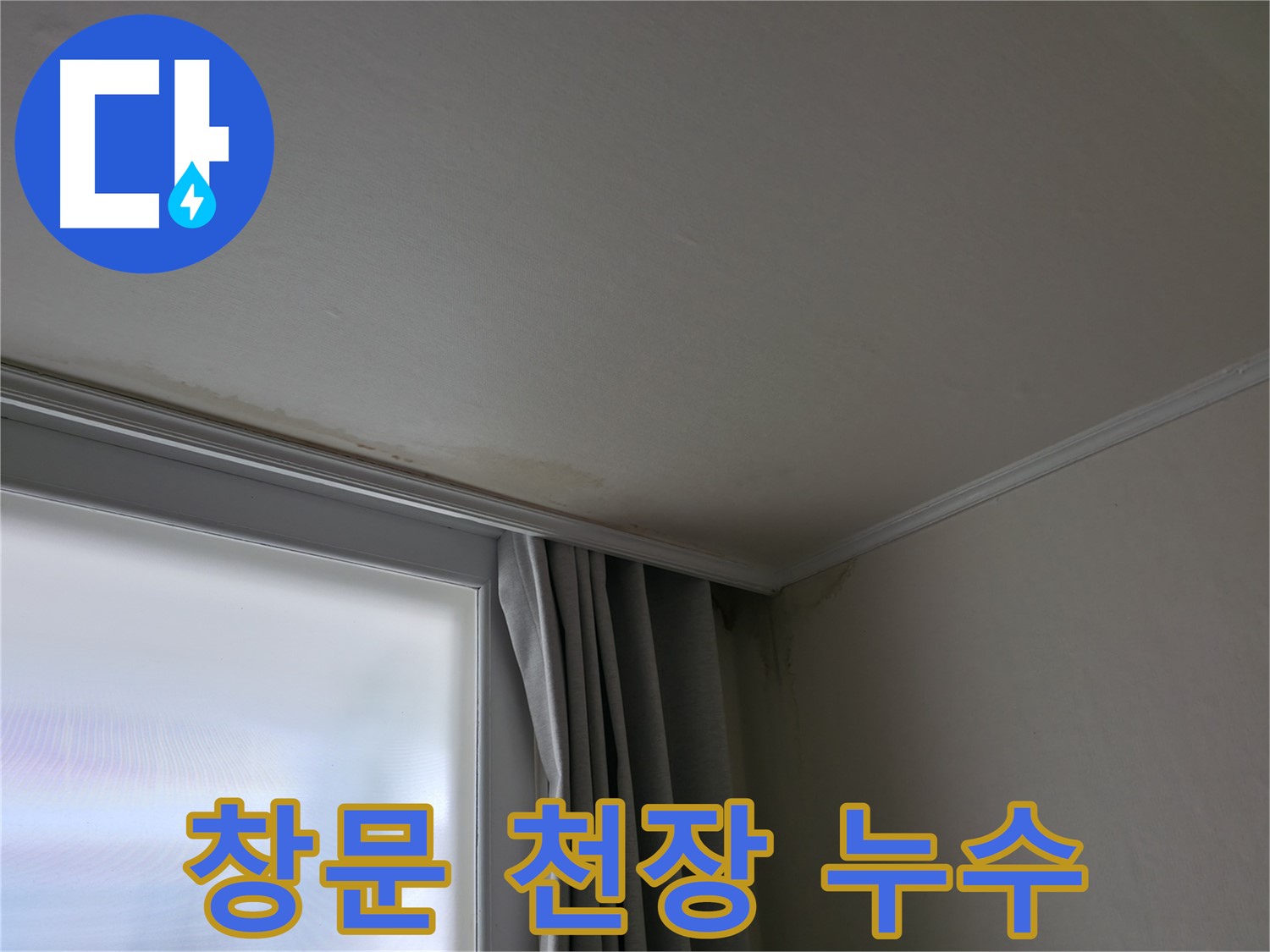 창문 위 천장 누수 - 문제 해결 전문가