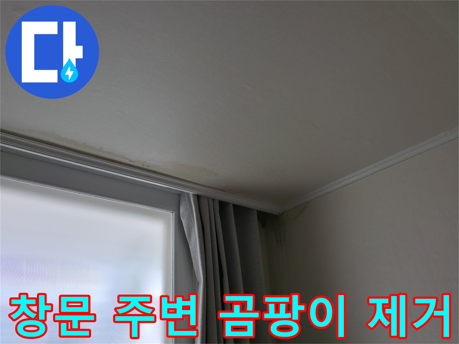 창문 주변 곰팡이 - 곰팡이 제거 및 재발 방지