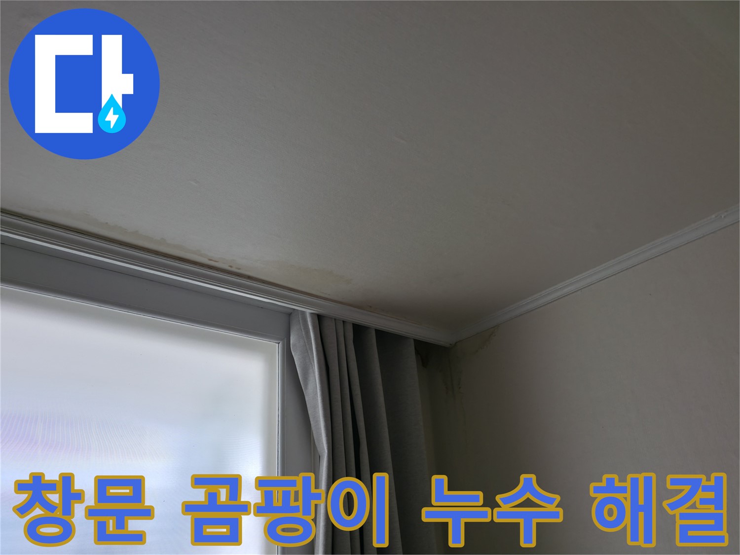 창문 주변 곰팡이 - 확실한 누수 해결 약속