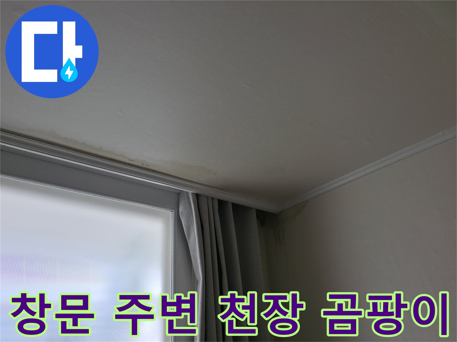 창문 주변 천장 곰팡이 - 누수 원인 해결 전문