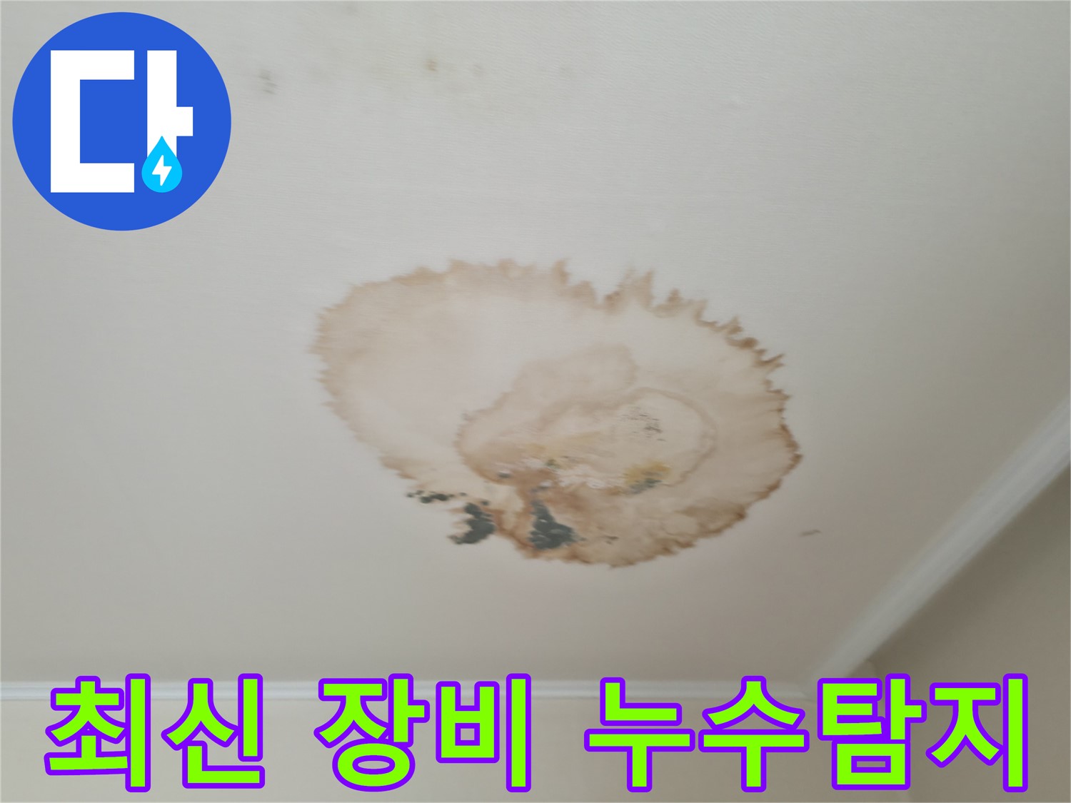 최신 장비 - 정확한 누수탐지 - 서대문구 세검정로
