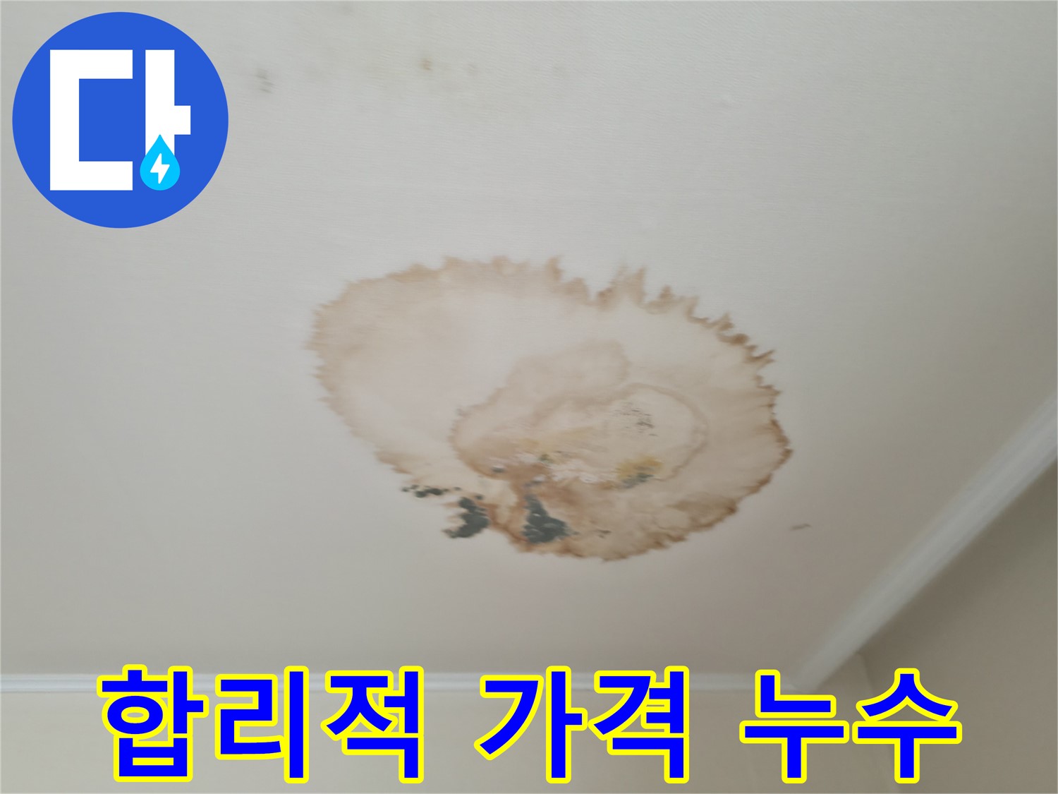 합리적인 가격 - 천장 누수 - 북가좌1동 누수