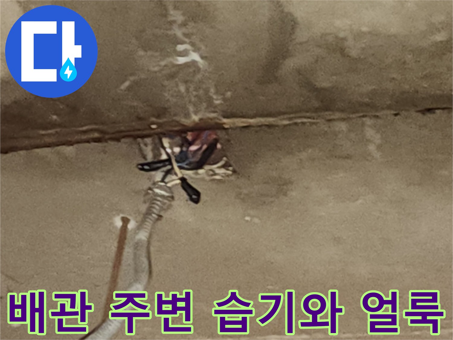 전선 배관 주위의 젖은 콘크리트와 백화 현상 발생 부위