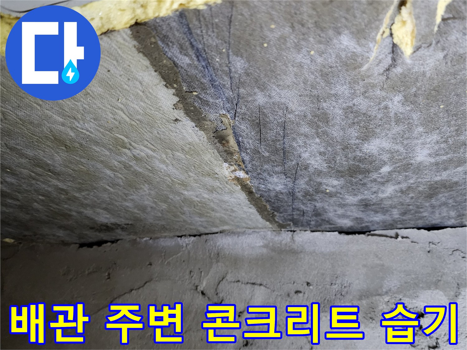 가산면 현장-축축하게 젖어있는 천장 구조물 표면