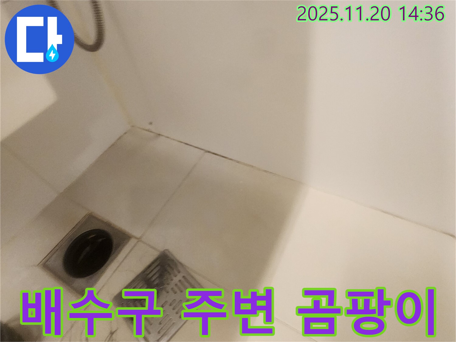 욕실 배수구 주변 곰팡이 제거 - 포천 가산면 누수, 깨끗하게 해결!
