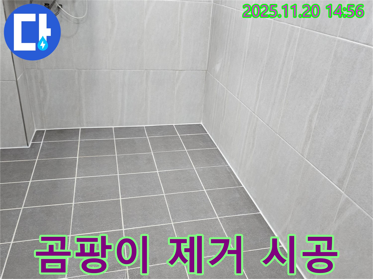 포천 가산면 누수 - 욕실 벽면 타일 곰팡이, 친환경 약품으로 안전하게 제거