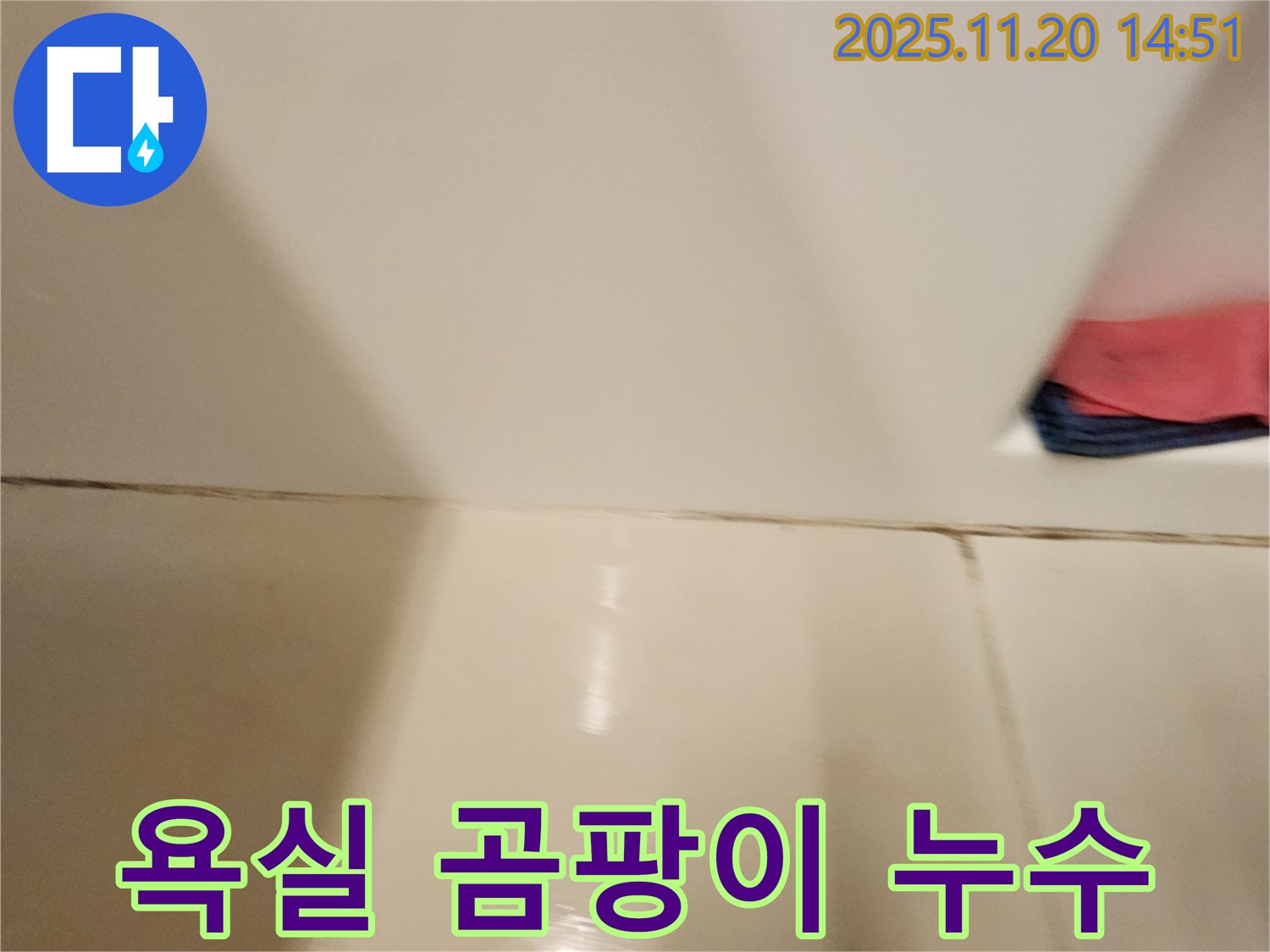 포천 가산면 욕실 타일 틈새 곰팡이 누수 - 전문적인 기술로 곰팡이 제거와 누수 해결을 동시에!
