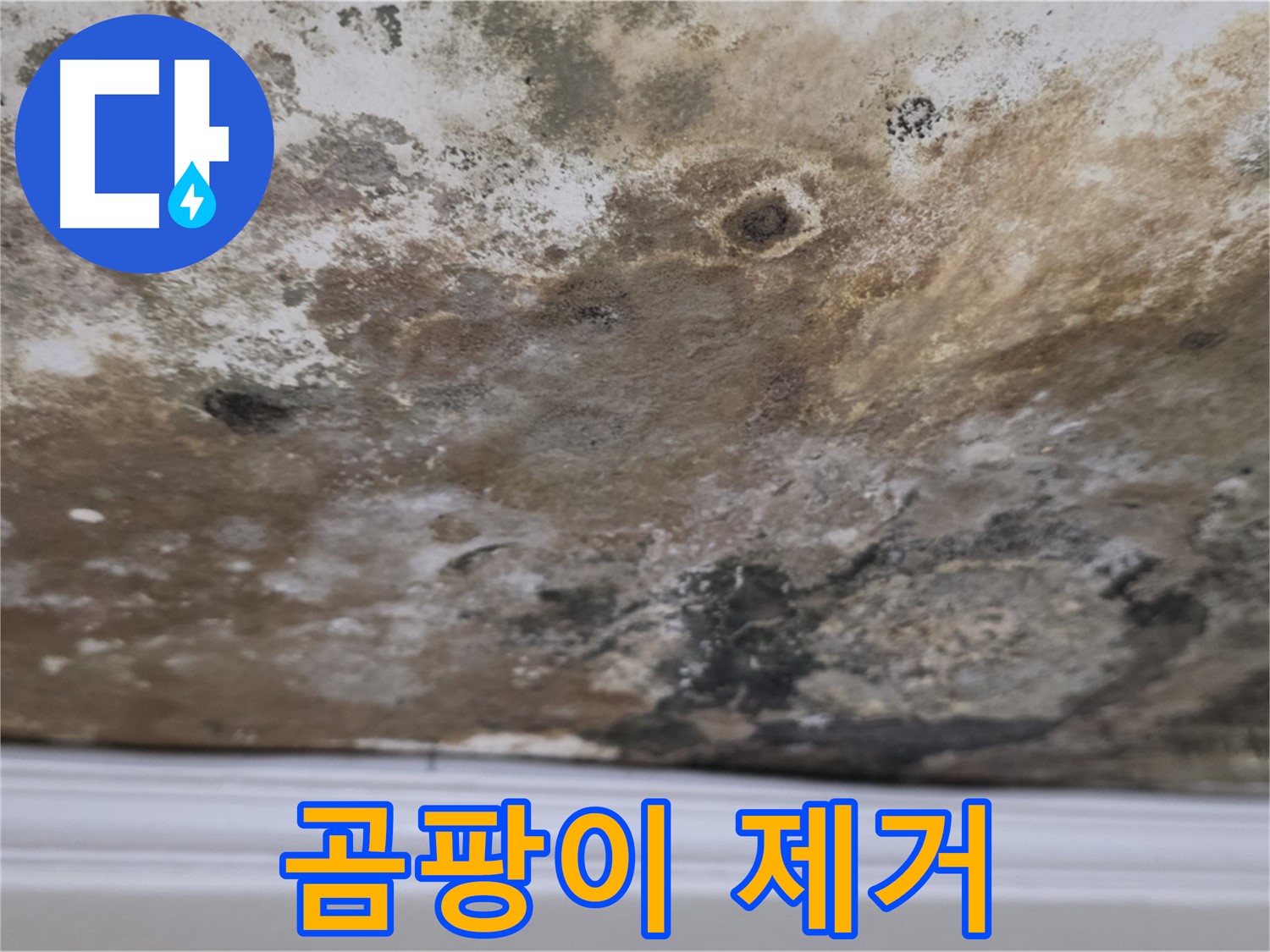 곰팡이 제거 후 깨끗해진 천장 - 누수 해결과 곰팡이 제거 후 깨끗하게 복원된 천장의 클로즈업 모습입니다.