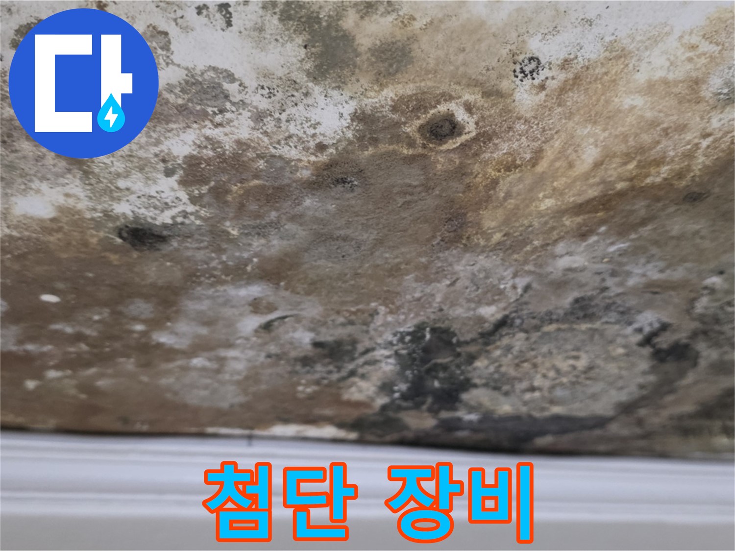 곰팡이 천장 - 첨단 누수 탐지 장비 사용