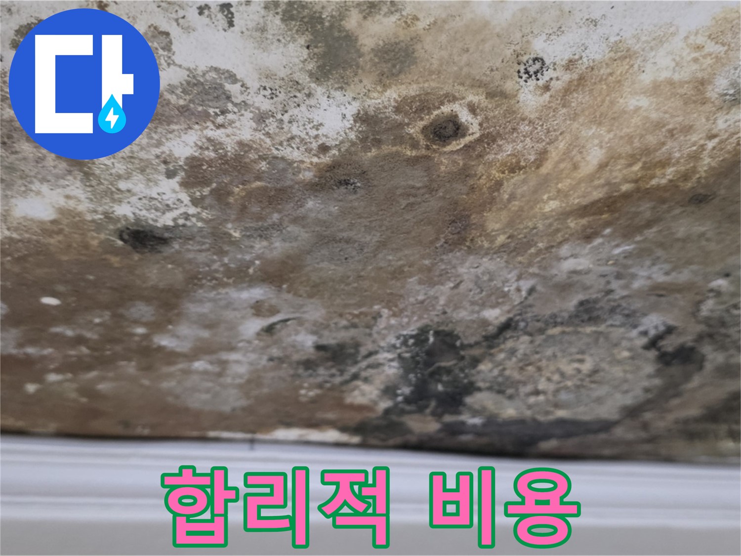 곰팡이 천장 - 합리적인 비용으로 누수 해결