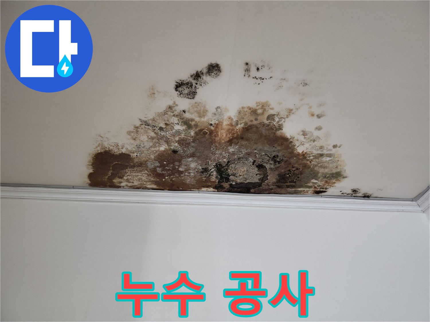 마포구 누수 - 곰팡이 누수 공사