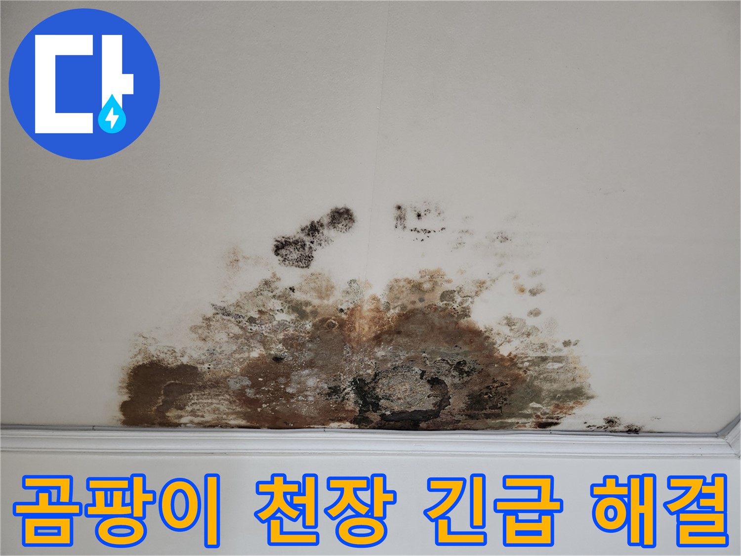 마포구 누수 긴급 SOS - 곰팡이 천장 빛보다 빠른 해결