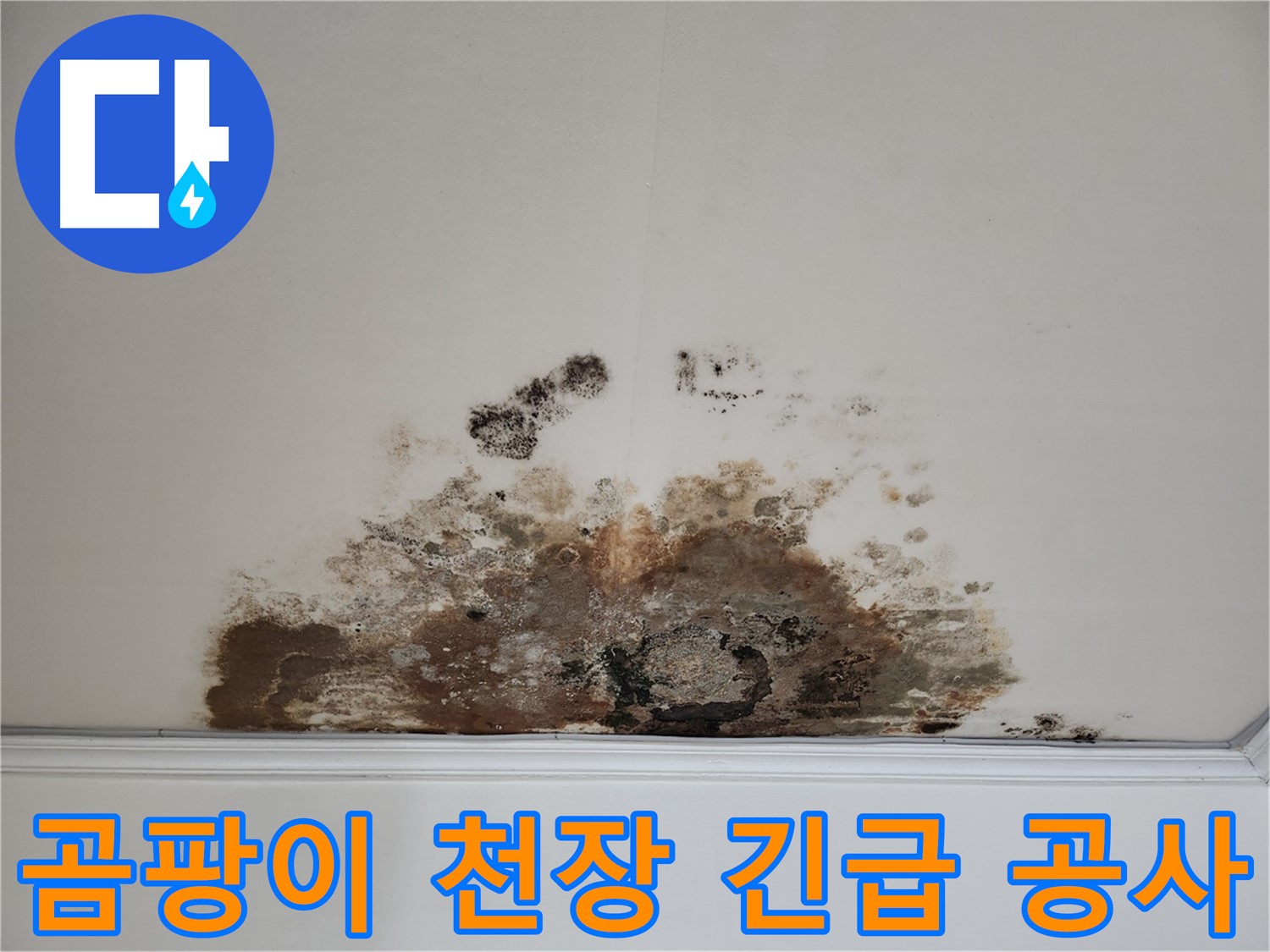 마포구 누수 긴급 - 곰팡이 천장 신속 진단 완벽 공사 보장