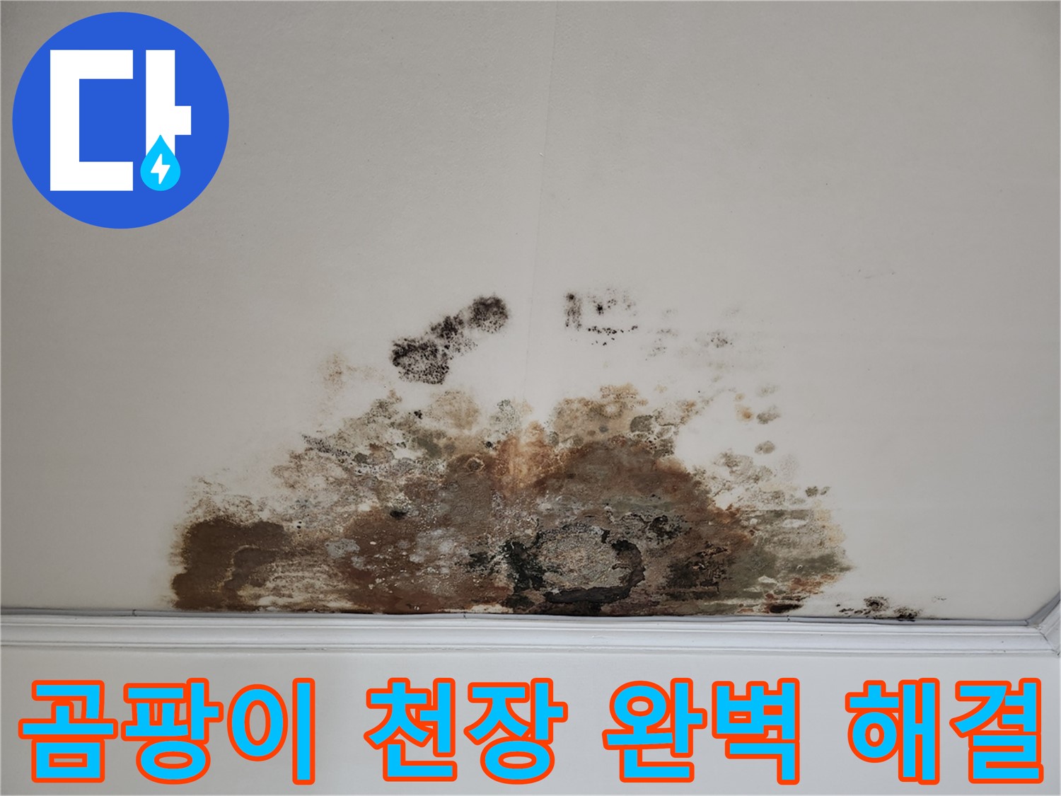 마포구 용강동 곰팡이 천장 완벽 해결 - 친절한 상담과 완벽 시공