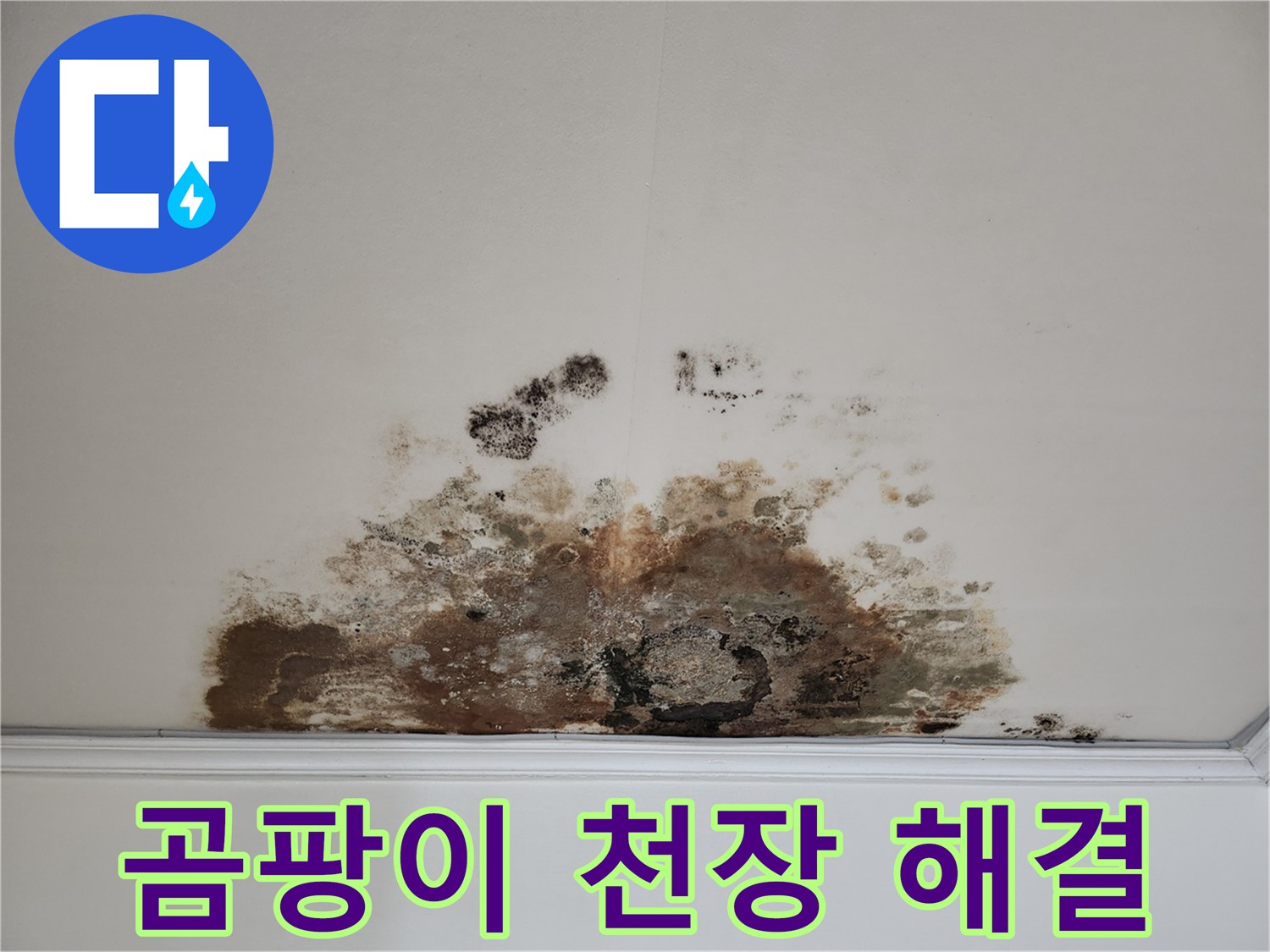 마포구 용강동 누수, 곰팡이 천장 - 철저한 A/S, 안심하고 맡기세요
