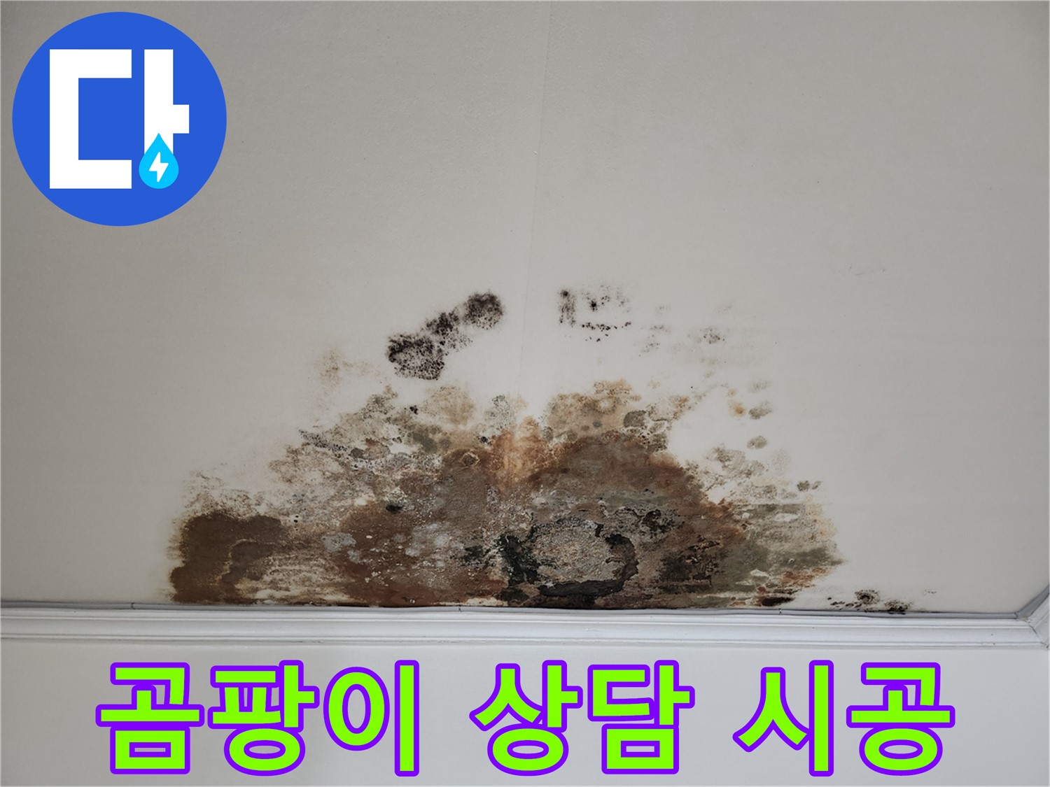 마포구 용강동 누수 - 곰팡이 천장 친절 상담 및 완벽 시공 보장