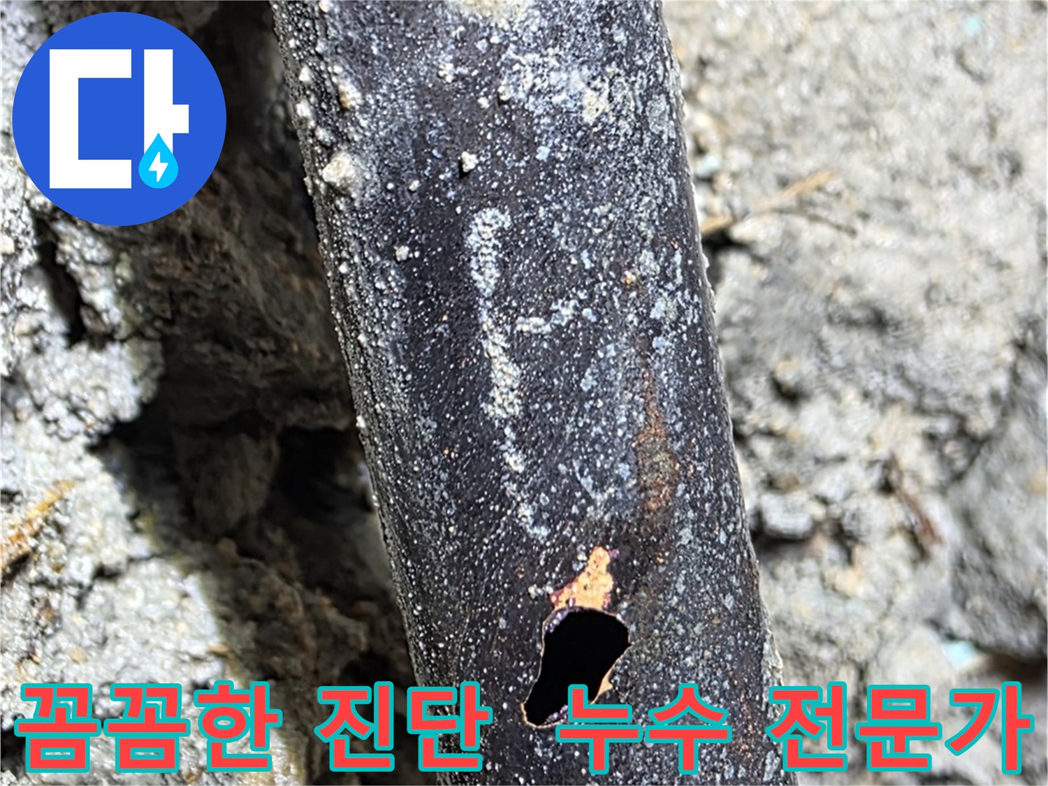 마포구 용강동 누수 현장 - 누수탐지 전문가가 꼼꼼하게 누수 진단을 진행하는 모습입니다.