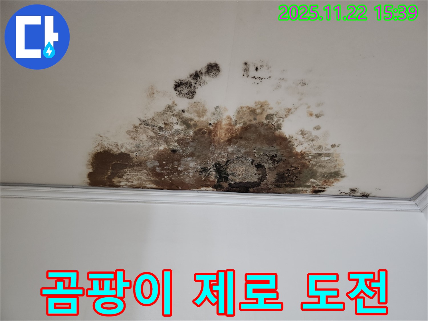 마포구 용강동 새창로8길 누수 - 곰팡이 제로 도전, 쾌적한 보금자리 완성