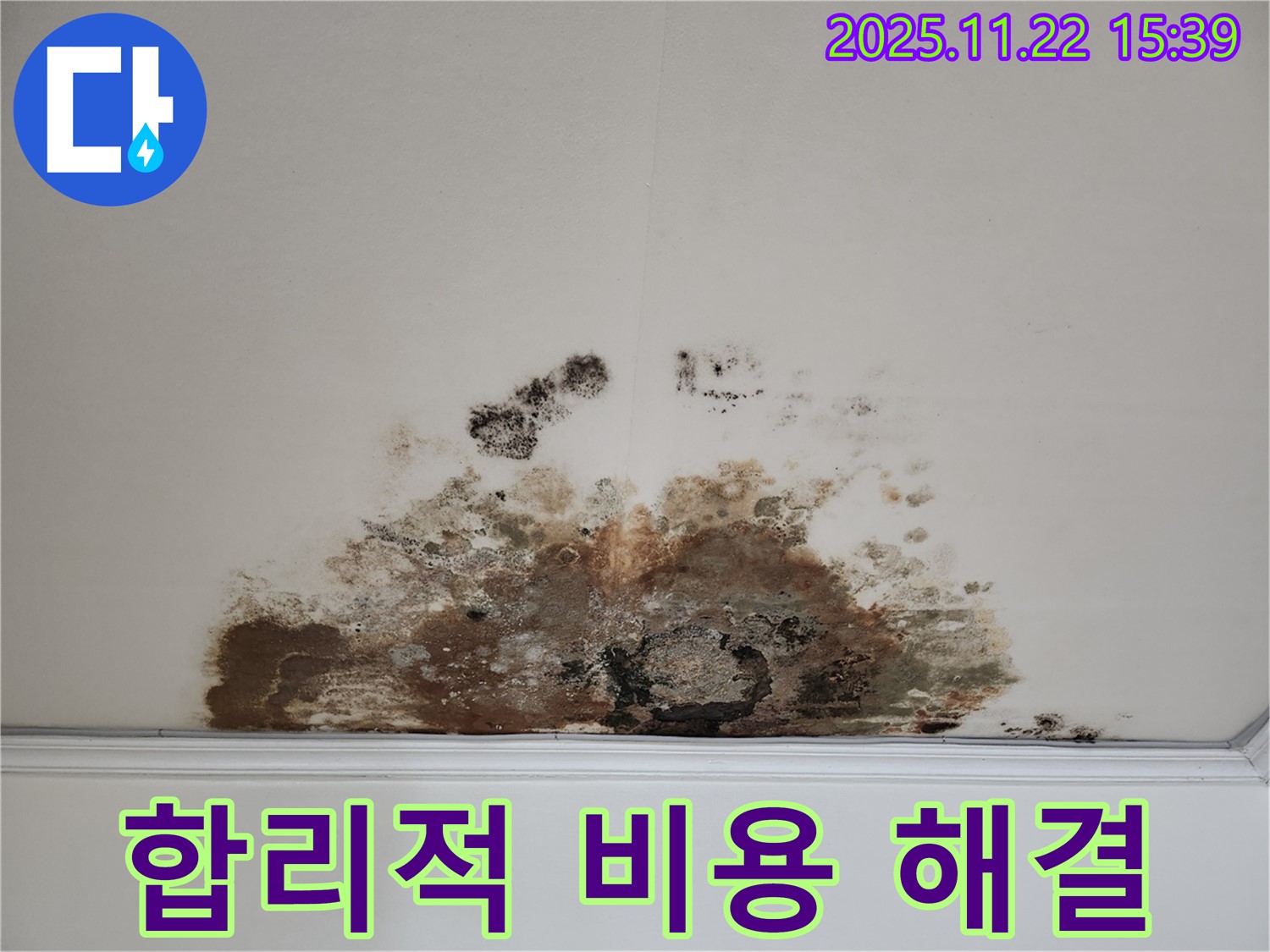 마포구 용강동 아파트 - 곰팡이 누수, 합리적인 비용으로 확실하게 해결