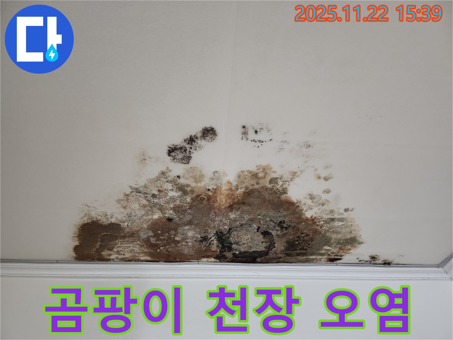 마포구 용강동 아파트 - 곰팡이로 오염된 천장