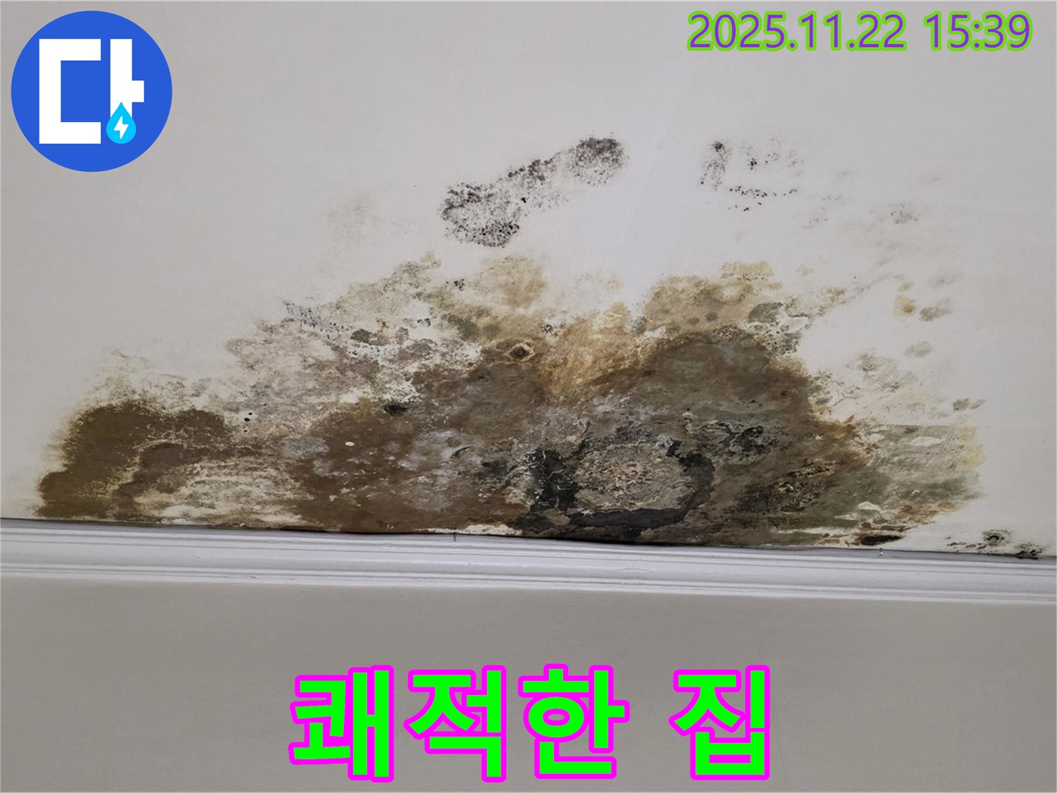 마포구 용강동 아파트 누수 - 천장 곰팡이 완벽 제거, 쾌적하고 건강한 집으로 변신
